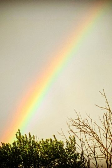 120 Prayers for Hope and Miracles in Every Situation
