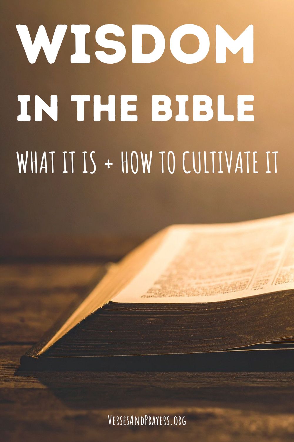 Wisdom in the Bible: What It Is & How to Cultivate It