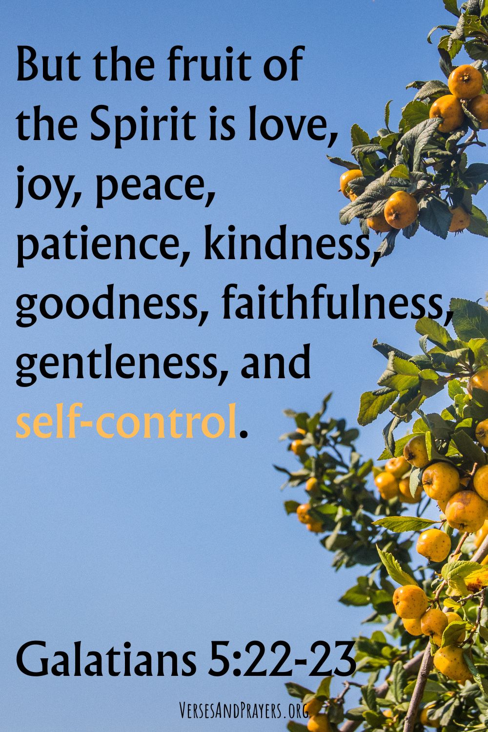 Self Control in the Bible | 60 Verses + How to Get It